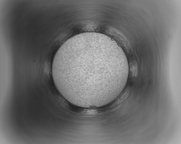 X0000101450665200807280940