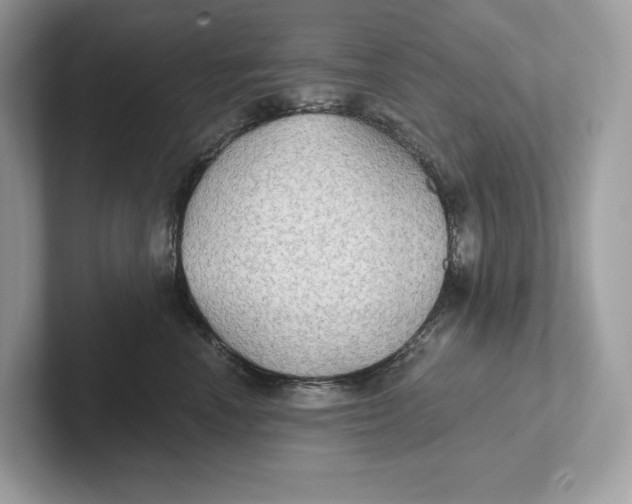 X0000101450666200807280940