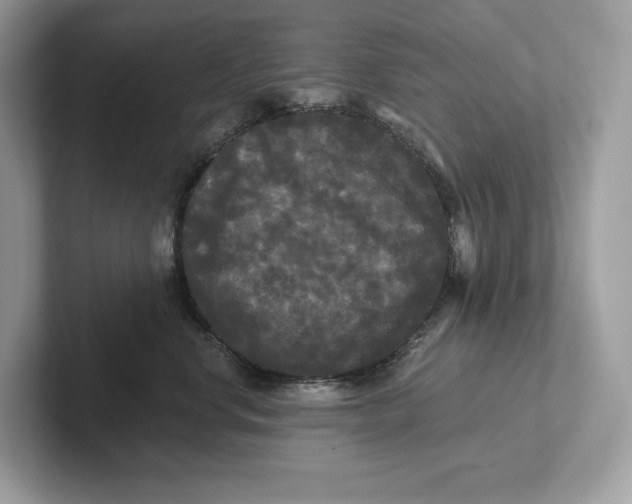 X0000101450668200807280940