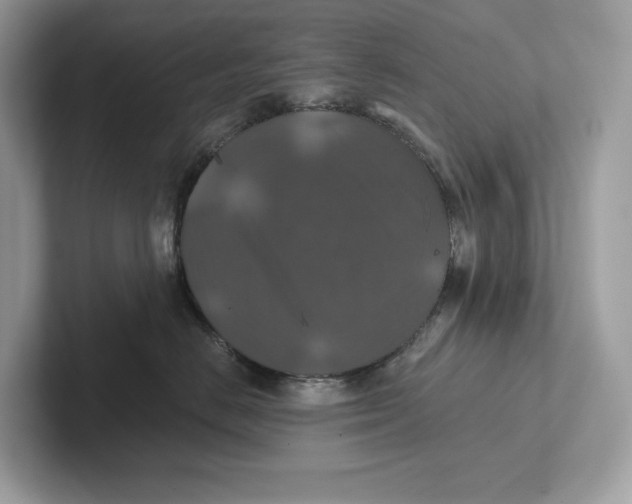 X0000101450670200807280940