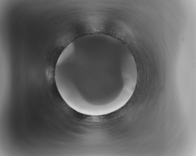 X0000101450672200807280940