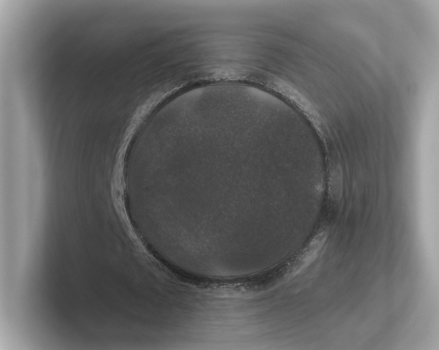 X0000101450673200807280940