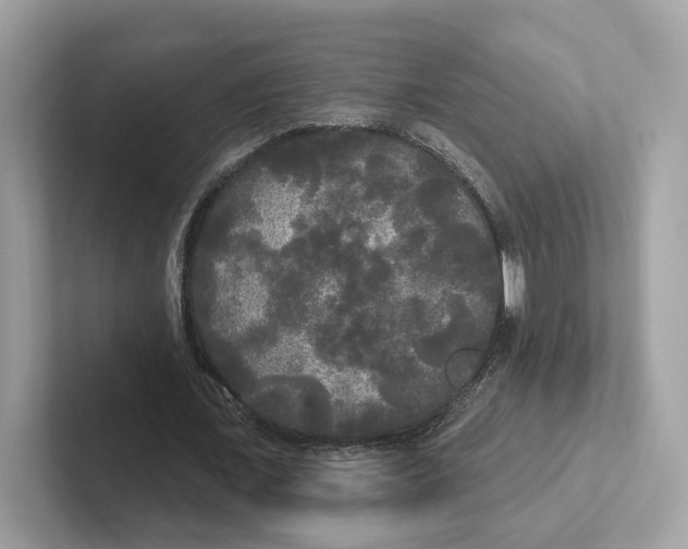 X0000101450675200807280940