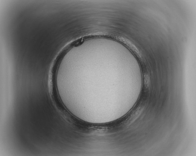 X0000101450676200807280940