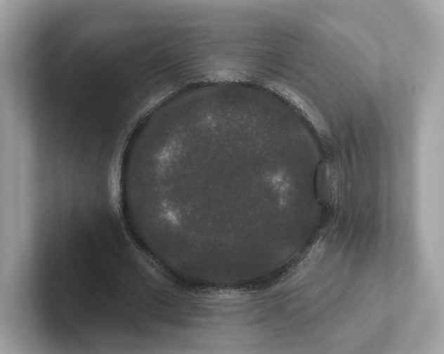 X0000101450677200807280940