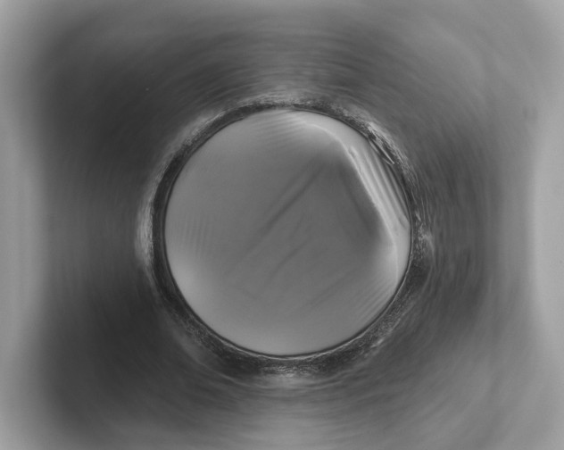 X0000101450678200807280940