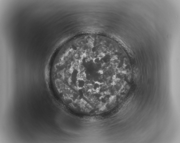 X0000101450679200807280940