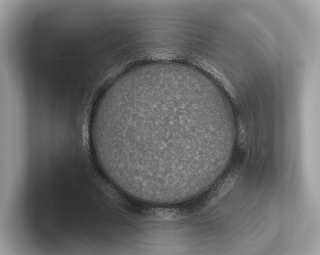 X0000101450681200807280940