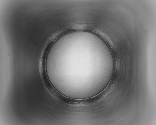 X0000101450682200807280940