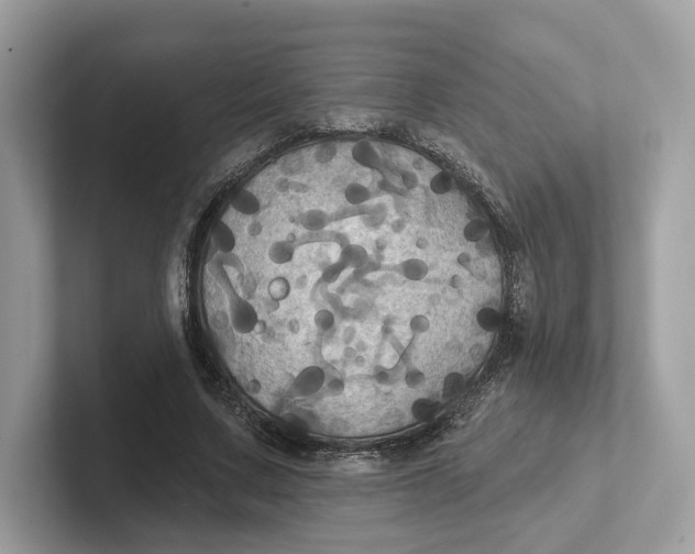 X0000101450683200807280940