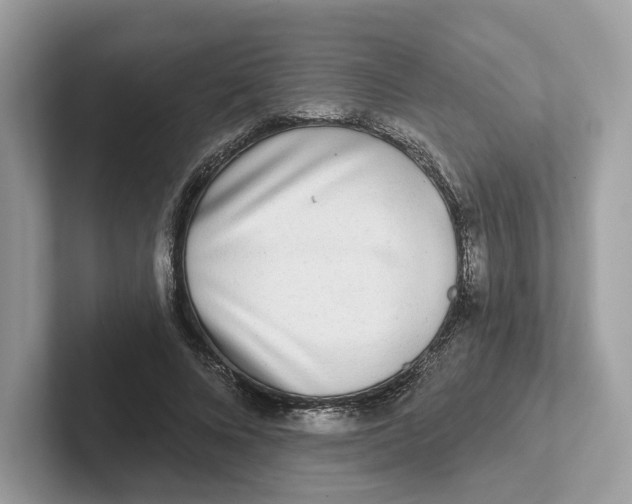 X0000101450688200807280940