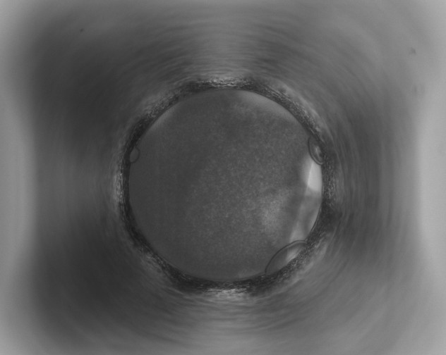 X0000101450689200807280940