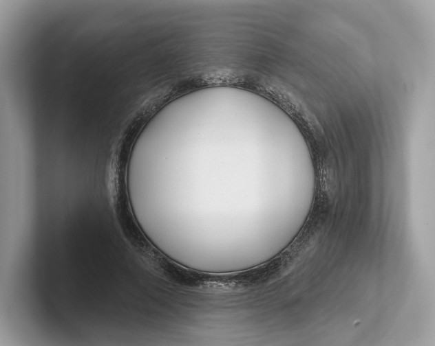 X0000101450690200807280940