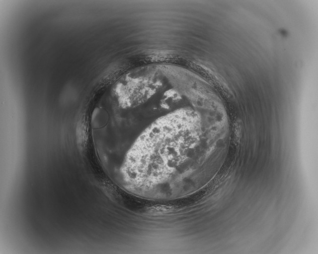 X0000101450691200807280940