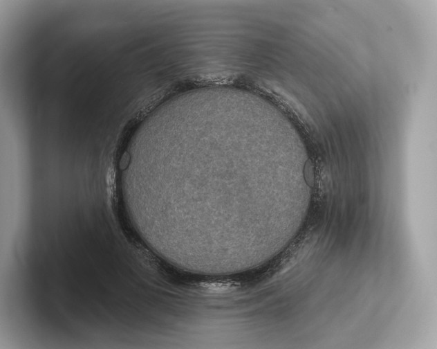 X0000101450693200807280940