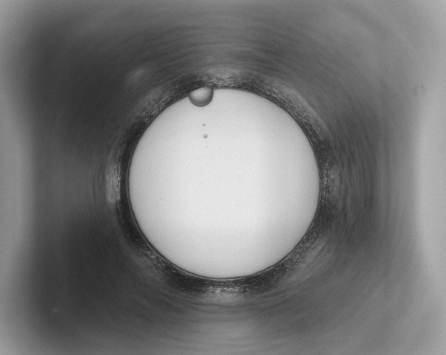 X0000101450694200807280939