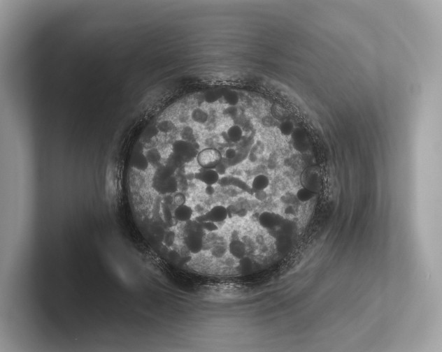 X0000101450695200807280939