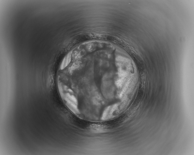 X0000101450699200807280939