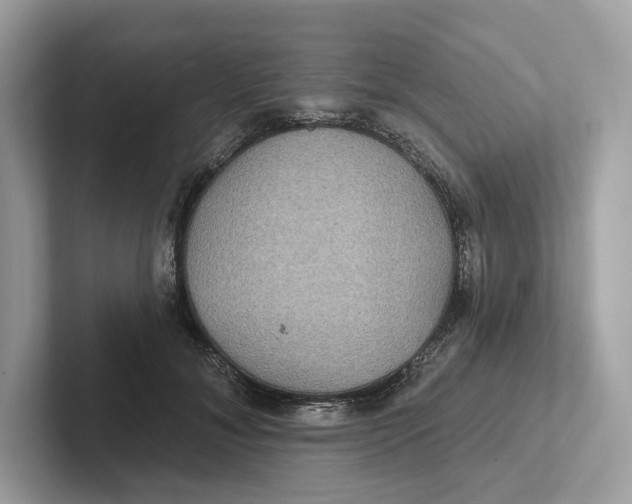 X0000101450700200807280939