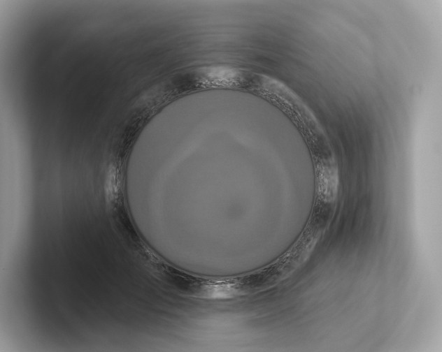 X0000101450701200807280939