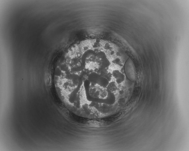 X0000101450703200807280939