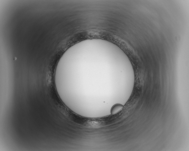 X0000101450706200807280939