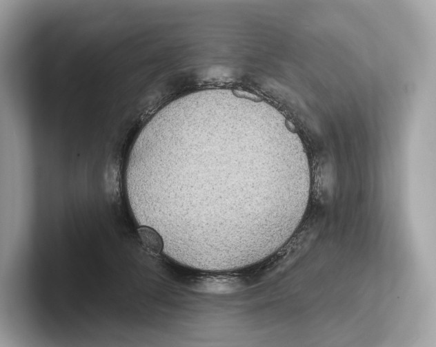 X0000101450708200807280939