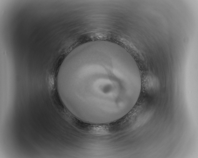 X0000101450709200807280939