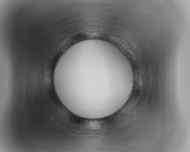 X0000101450710200807280939