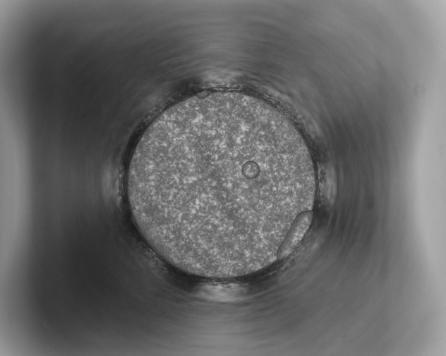 X0000101450712200807280939