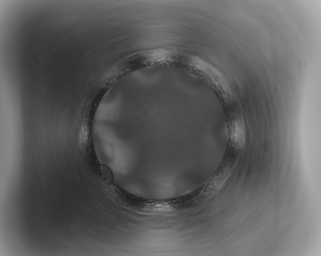 X0000101450715200807280939