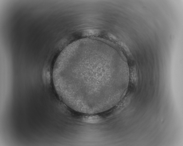 X0000101450716200807280939