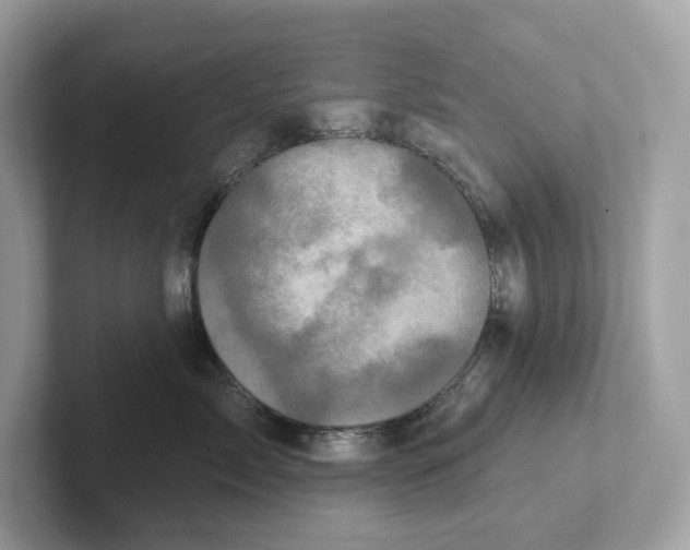 X0000101450717200807280939