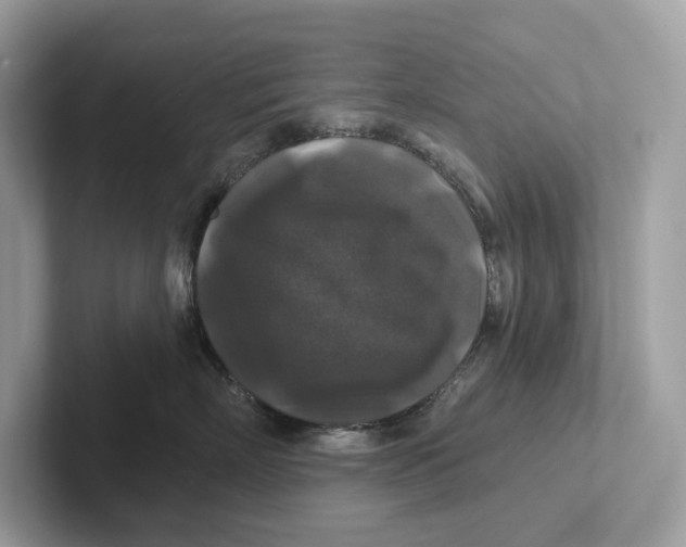 X0000101450718200807280939