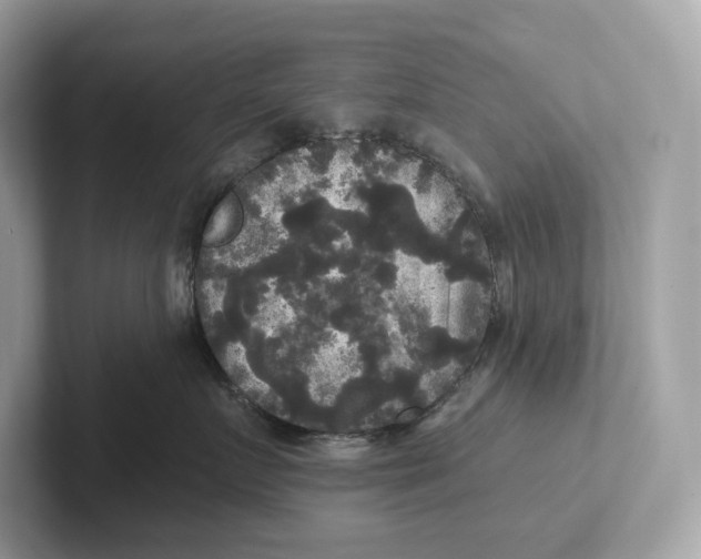 X0000101450719200807280939