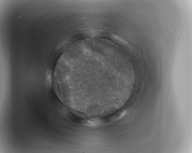 X0000101450720200807280939