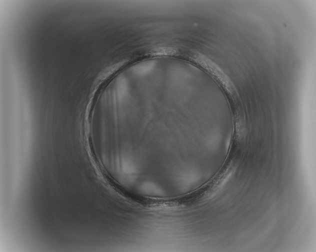 X0000101450721200807280939