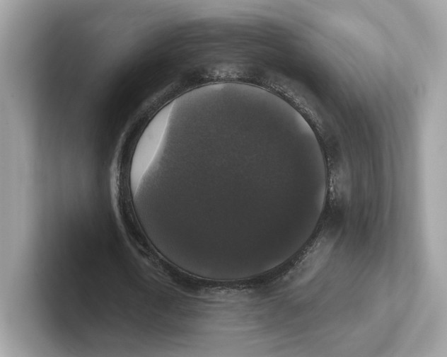 X0000101450722200807280939