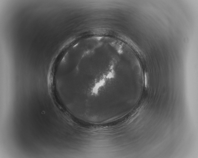 X0000101450723200807280939