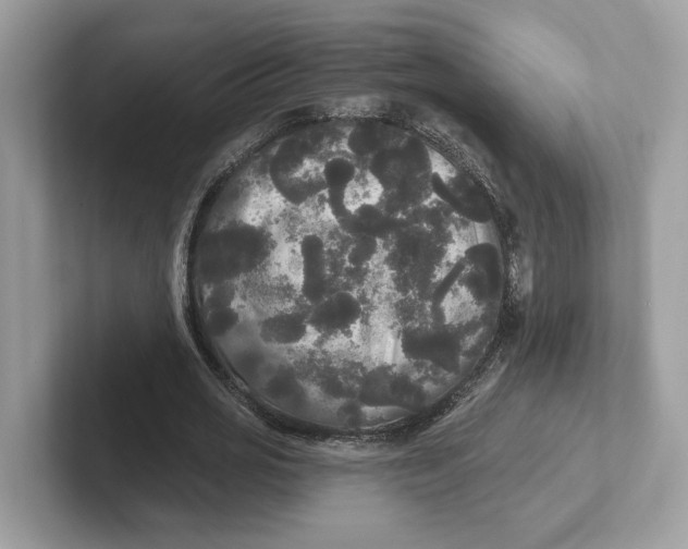 X0000101450725200807280939