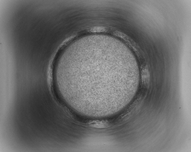 X0000101450727200807280939