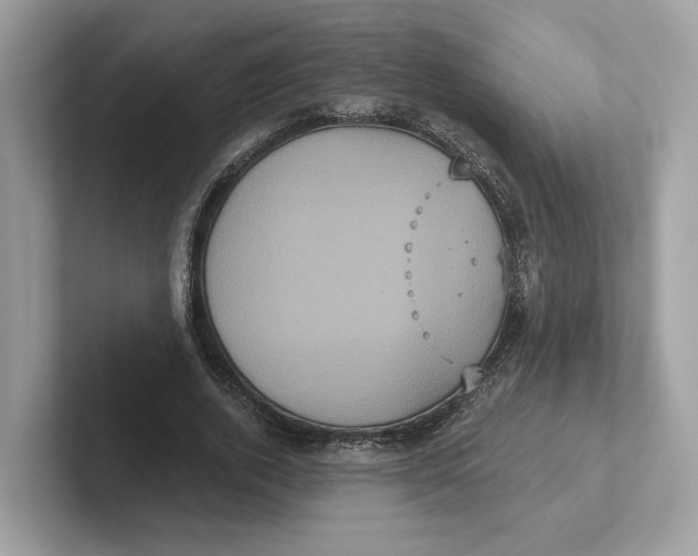 X0000101450728200807280939