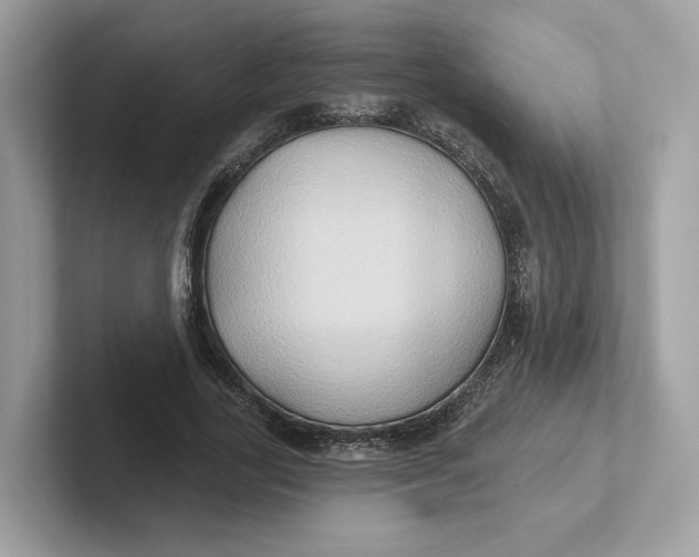 X0000101450731200807280939