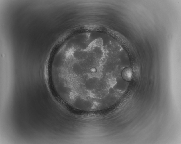 X0000101450734200807280939