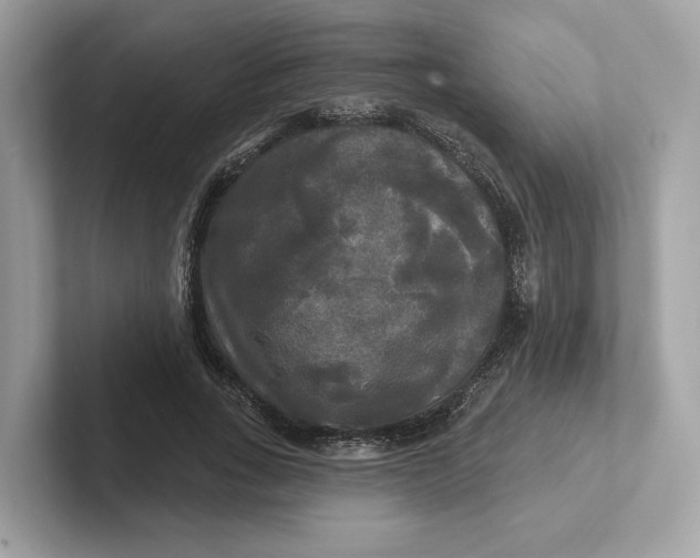 X0000101450735200807280939