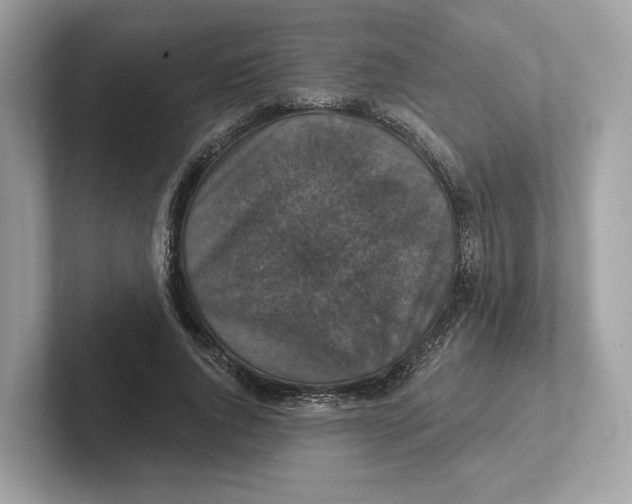 X0000101450736200807280939