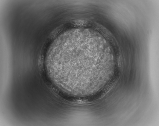 X0000101450737200807280939