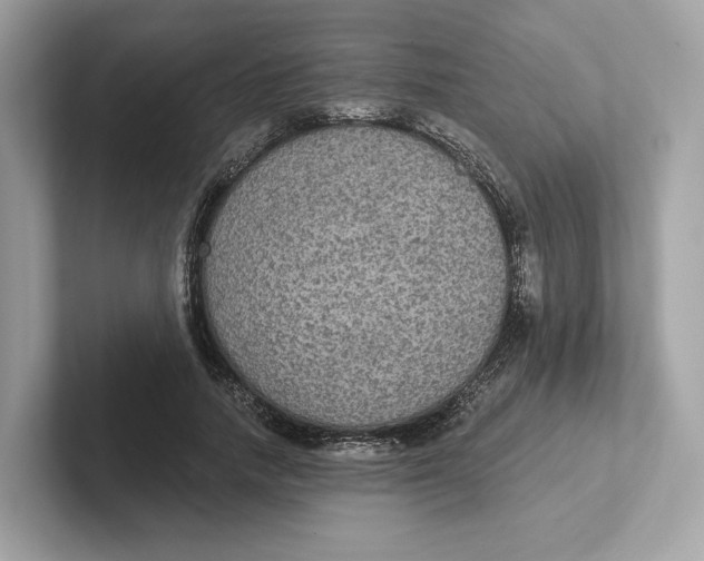 X0000101450738200807280939