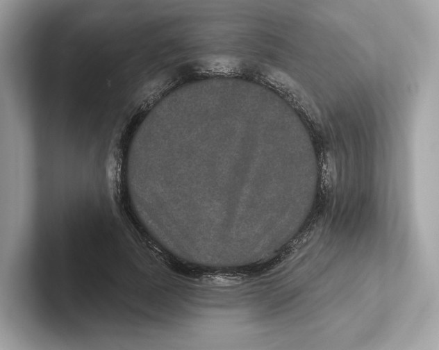 X0000101450739200807280939