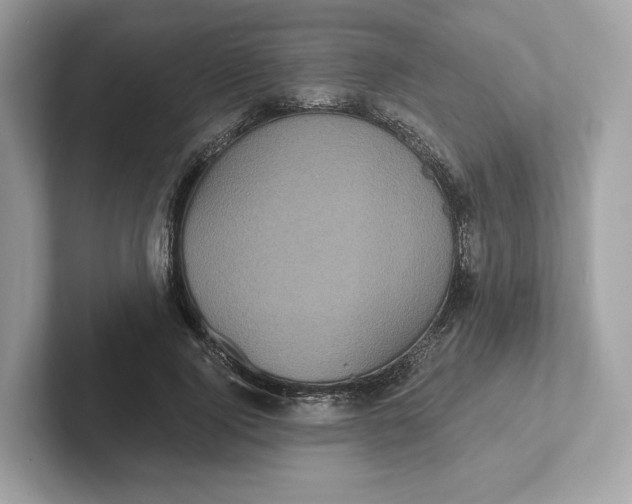 X0000101450740200807280939